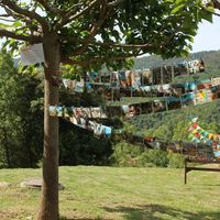 fotos