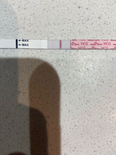 buscadoras abril 2023 1