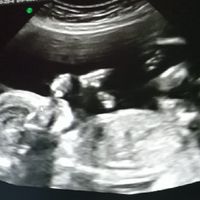 Mamas Marzo 2020 - 1