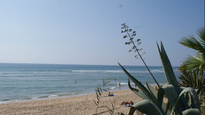 playita