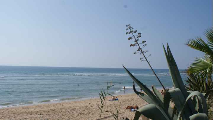 playita