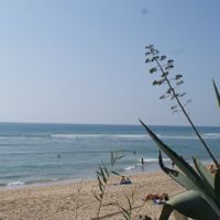 playita