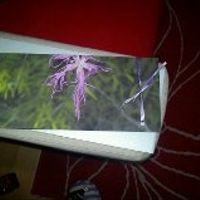 Invitacion