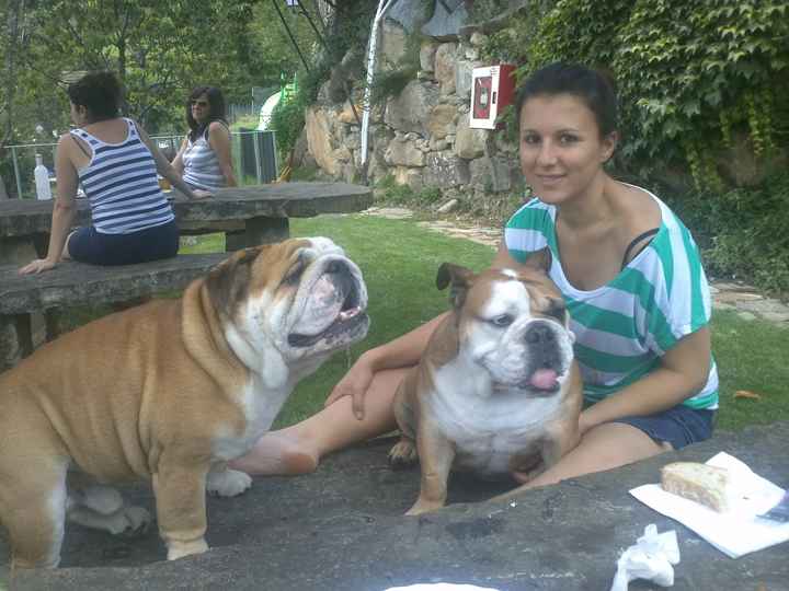 Nuestras mascotas!! - 1