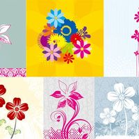 las flores en la bellesa