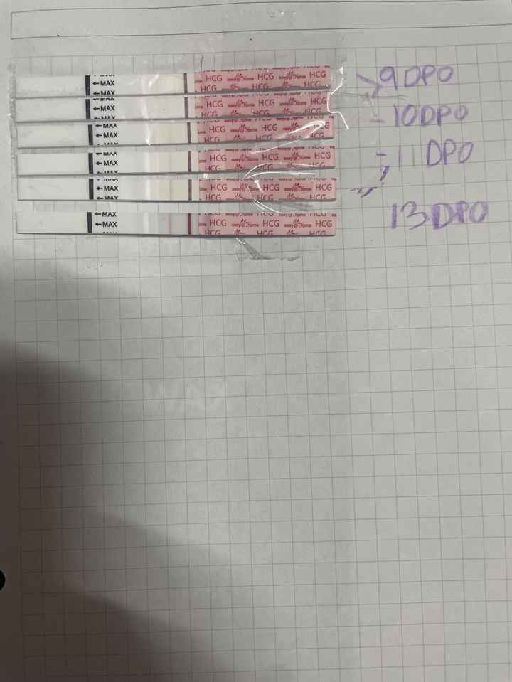 Buscadoras marzo 🌷🌼🌹🌸🌺 - 2