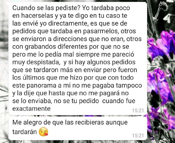 Alpargatas para invitadas 2