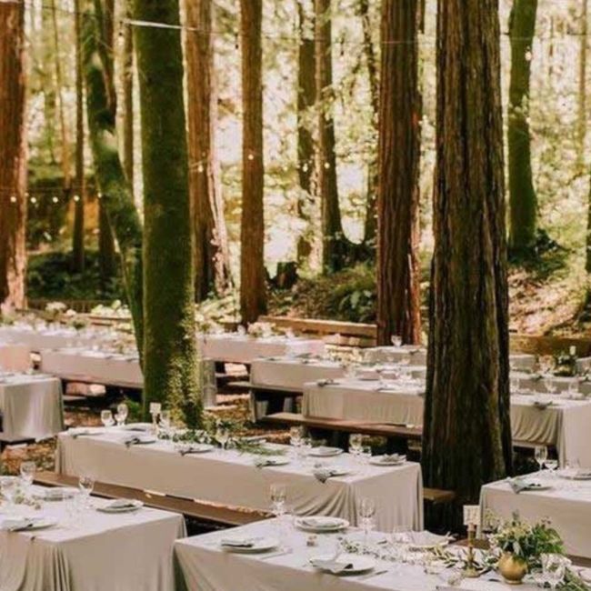Boda en la naturaleza. 🌲 10