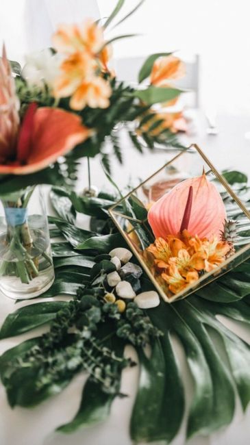 Boda estilo tropical 🌴🍍 - 11