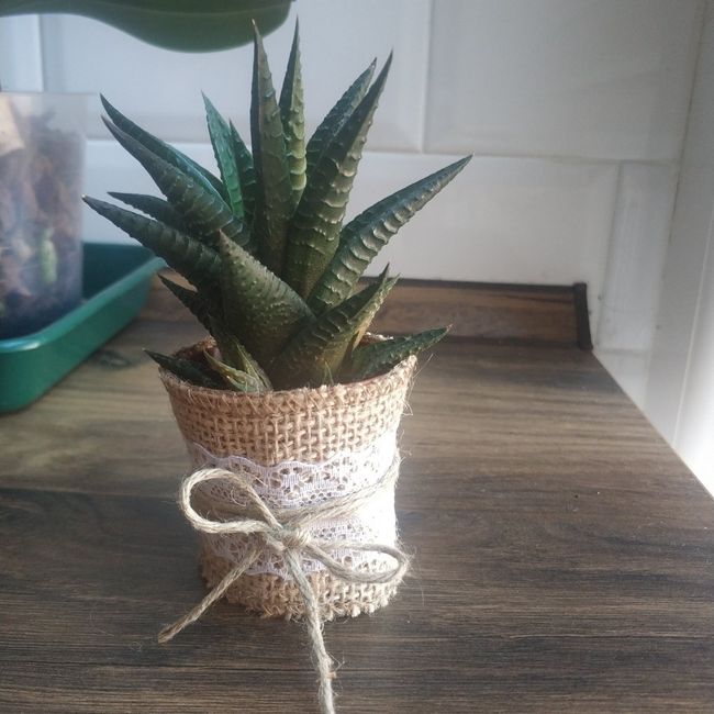 detalles y precio por invitado 1