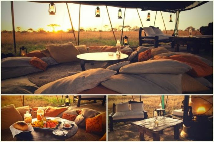 Boda estilo safari 🦁🌿🏜️ 5