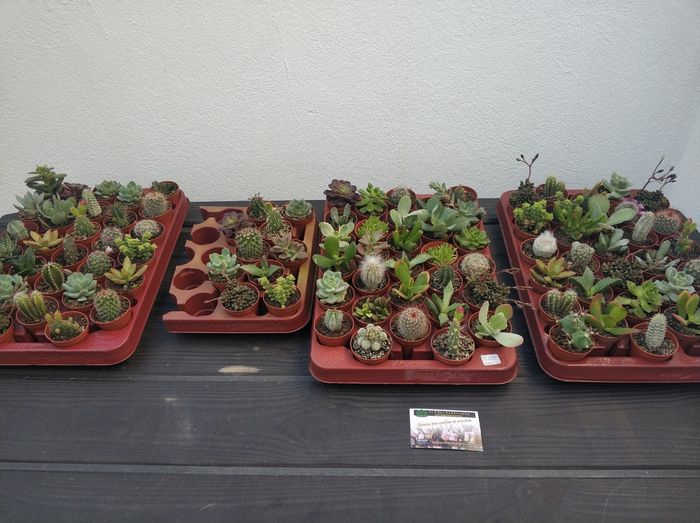 Detalles a invitados 1