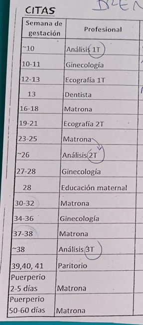 Futuras mamis Octubre 2025 1