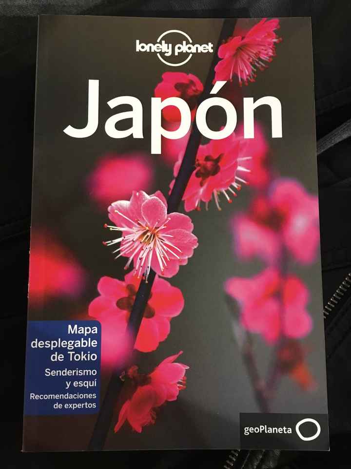 Lau...check-in con destino a Japón - 1