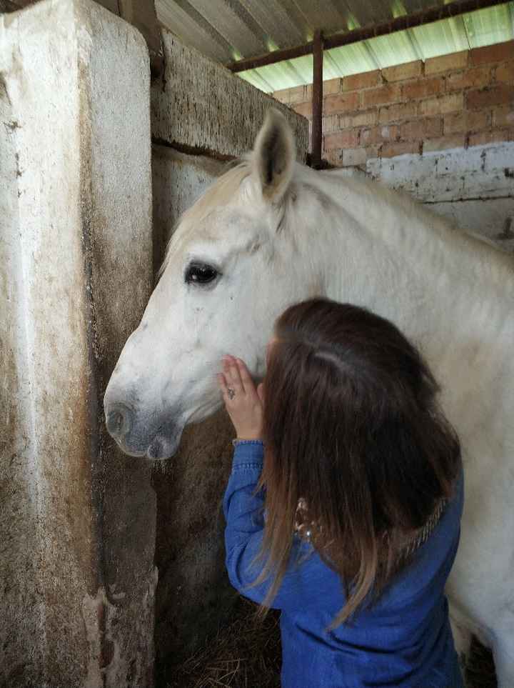 Bodas a caballo! 🐎 - 2