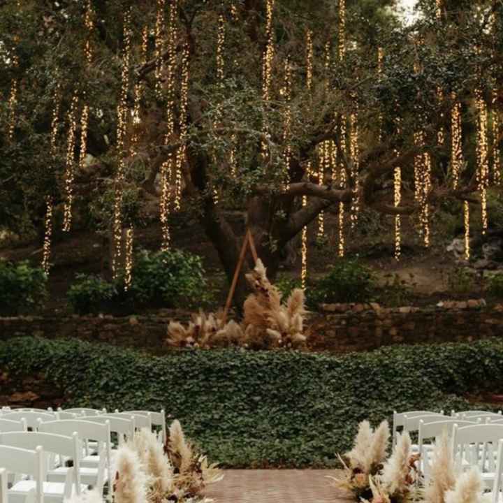 Boda en la naturaleza. 🌲 - 6