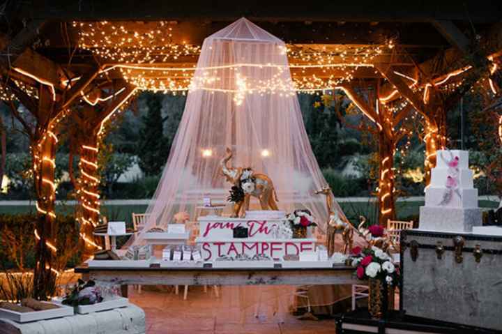 Boda estilo safari 🦁🌿🏜️ - 12