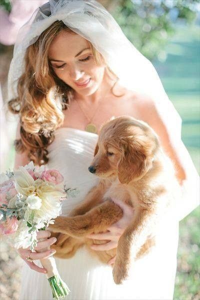 Mascotas en las bodas - 6