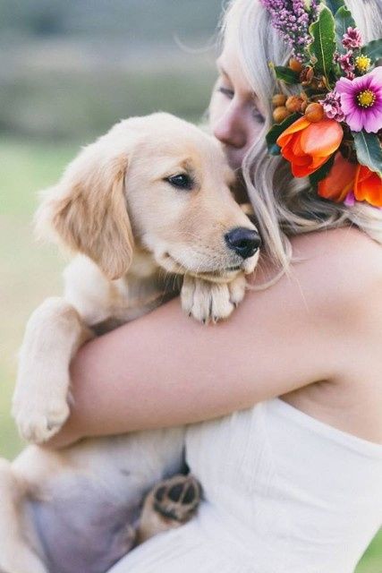Mascotas en las bodas - 10