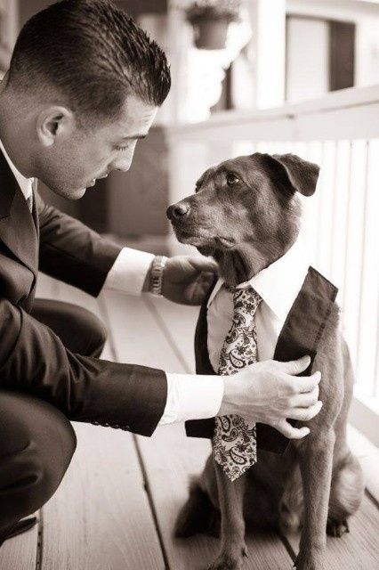 Mascotas en las bodas - 11