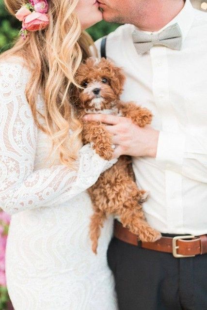 Mascotas en las bodas - 13