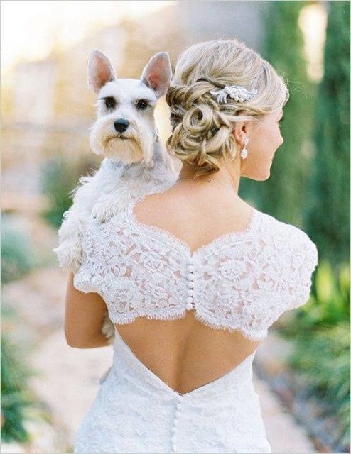 Mascotas en las bodas - 16