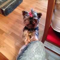 mi hija