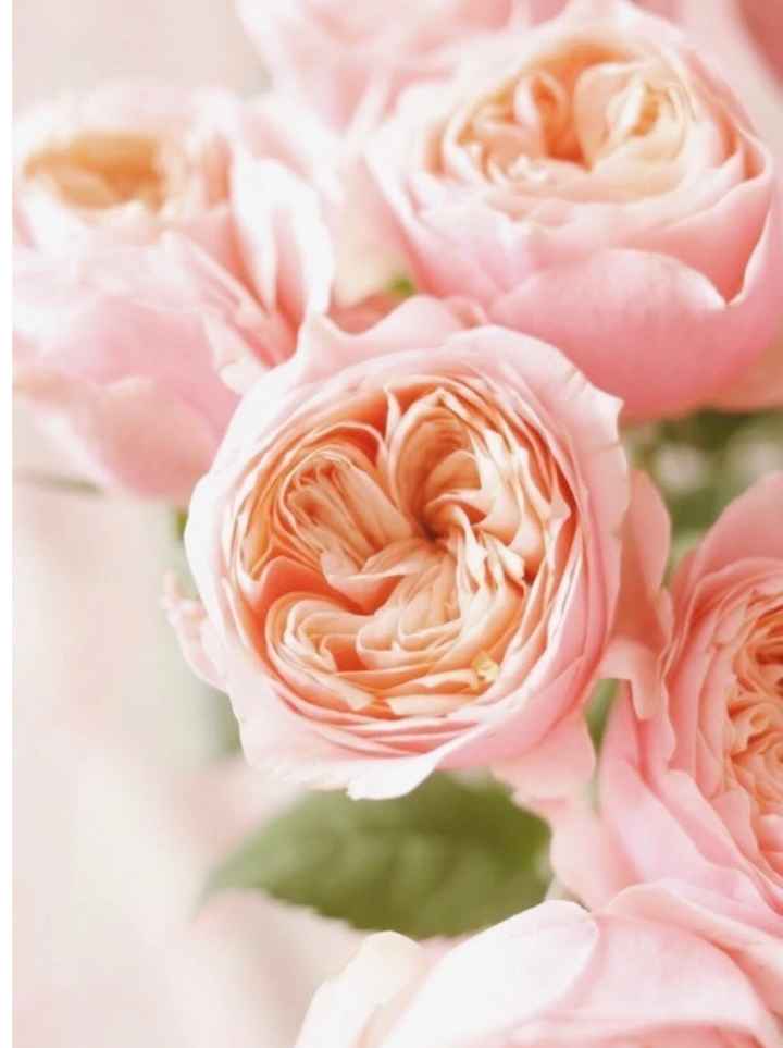 No sé de qué flores hacer mi ramo para septiembre - 1