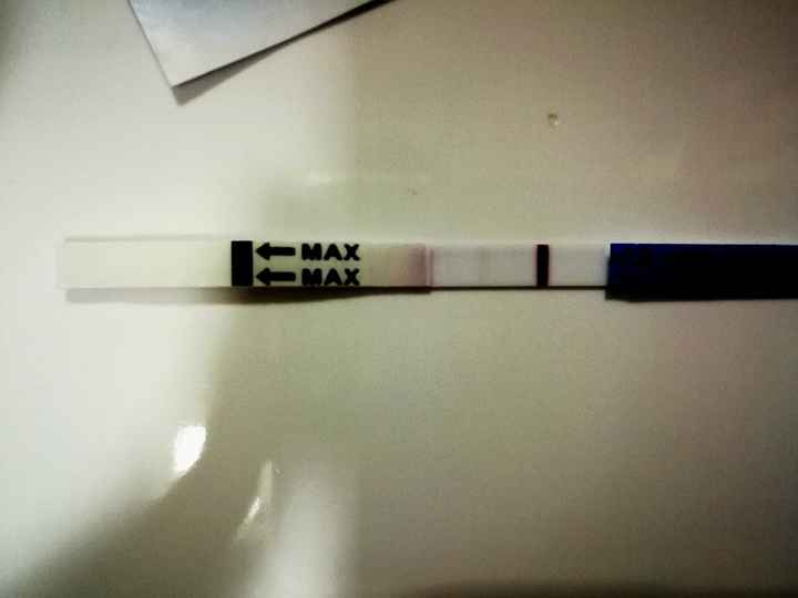 TE a los dos minutos de haberlo hecho