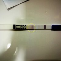 TE donde señalo la marca de lo mojado...