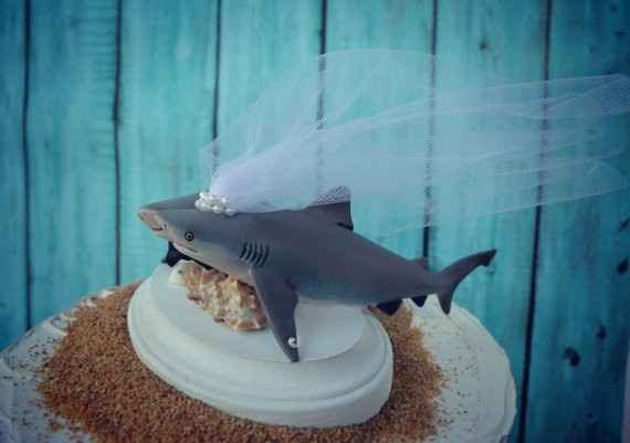 novia-tiburón