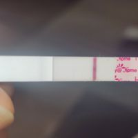 Buscadoras Noviembre 2022 - 1