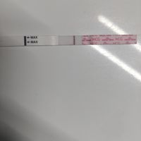 Buscadoras Noviembre 2022 - 2