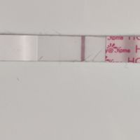 Buscadoras Noviembre 2022 - 3