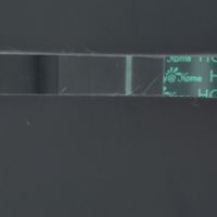 Buscadoras Noviembre 2022 - 1