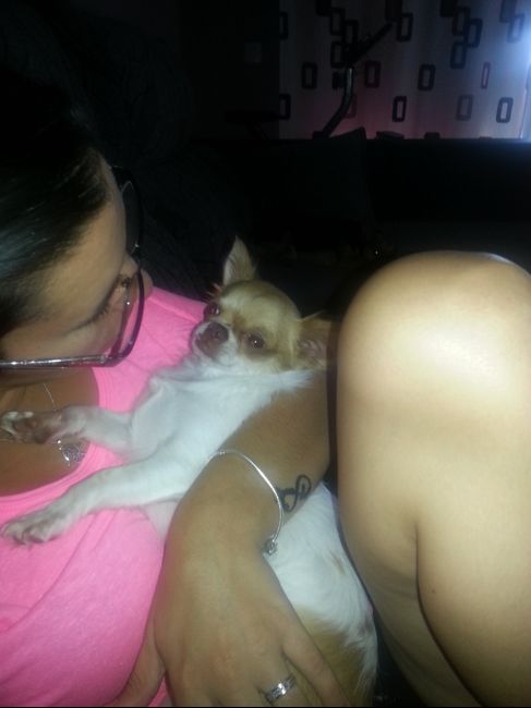 Nuestras mascotas!! - 4