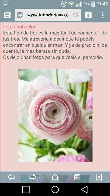 Sin ramo de novias a 9 dias de mi dia b!! - 2