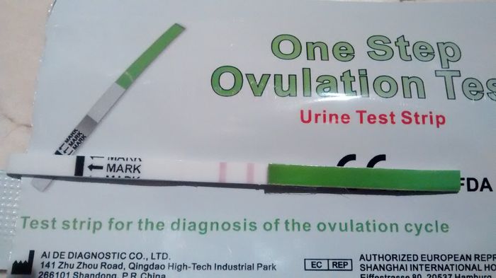 Test de ovulación que significa este resultado??  - 1
