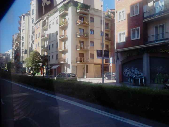 calzados avenida