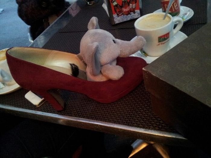 Zapatos