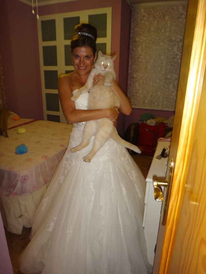Con mi gatito Canelo después de mi boda a las 7 a.m.