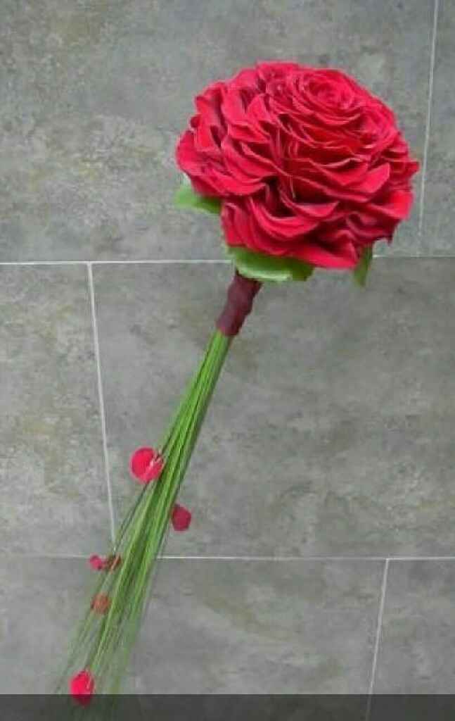 Rosmelia roja - 1