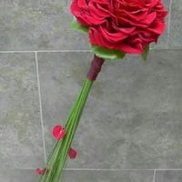 Rosmelia roja - 1