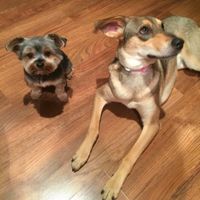Sookie y Nela