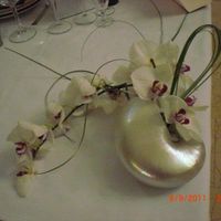 Mi ramo PERFECTO Y PRECIOSO