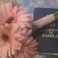 Mi ramo ceremonia civil Juzgado