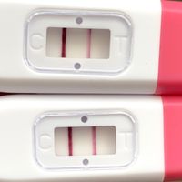 Futuras mamas Diciembre 2020 - 2