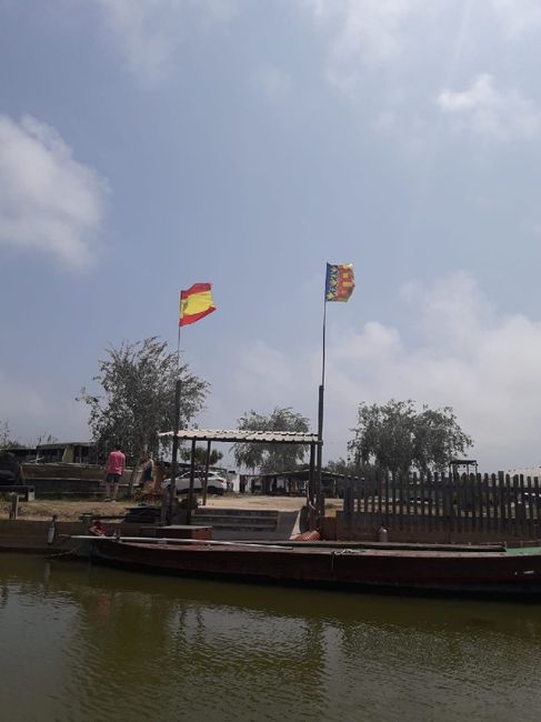 Anónimo - 7