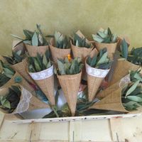 Hojas de olivo para la salida de la iglesia - 1