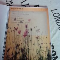 Agenda